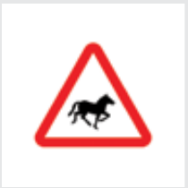 Sign: Accompanied horses or ponies crossing the road ahead